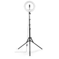 HAMA LED Лампа "SpotLight Steady 120 III"