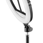 HAMA LED Лампа "SpotLight Steady 120 III"