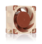 Noctua NF-A4x20 FLX Fan, 40mm
