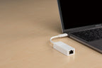 D-Link DUB-E130 USB-C to LAN 10/100/1000 Network Card