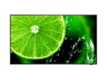 Широкоформатен дисплей NEC MultiSync E558, 55", UHD, 400cd/m2, Direct LED backlight, 16/7 proof, Media Player