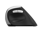 RAPOO EV250 Wireless Ergonomic Mouse