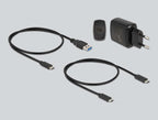 Docking station Delock 1 x M.2 NVMe SSD, 1 x M.2 SATA SSD, SD Express Card Reader, Cloning