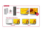 Delock Splitter mini Display Port 1.2 male to 2 x Display Port 4K female