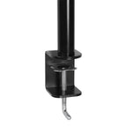Monitor Stand ARCTIC Z2 Basic, Desk Mount, 13" - 27"