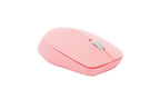 RAPOO M100 Silent Wireless Optical Mouse