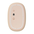 Wireless optical mouse RAPOO M660