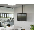 Hama TV Ceiling Mount, Swiveling, Tilting, 165 cm (65") up to 50 kg, 220878