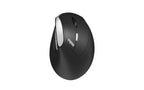 RAPOO EV250 Wireless Ergonomic Mouse