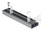 Delock USB Hub, 16 Ports, DELOCK-63739