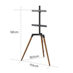 HAMA TV Stand, up to 165 cm (65"), swivel, 220873