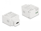 Модул Delock, USB-C порт за зареждане, За монтаж на панел Keystone