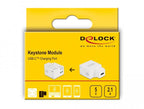 Модул Delock, USB-C порт за зареждане, За монтаж на панел Keystone