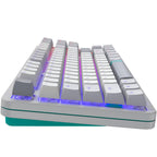 Gaming mechanical keyboard Dark Project ALU87 Daylight RGB
