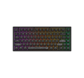 Геймърскa механична клавиатура Dark Project ALU81A Terra Nostra V2 Black RGB