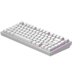 Dark Project ALU81A Terra Nostra White RGB Gaming Mechanical Keyboard