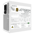 Gigabyte UD750GM PG5 ICE 750W Power Supply, 80+ Gold PCIe 5.1